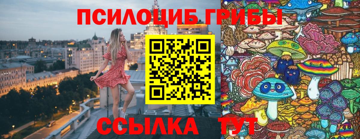 Галлюциногенные грибы прущие грибы Крымск